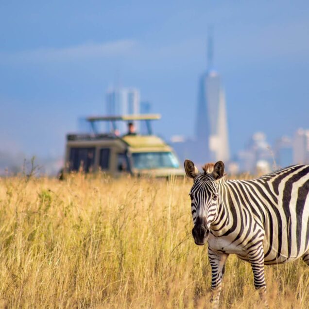 Nairobi National Park