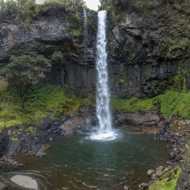 Aberdares National Park