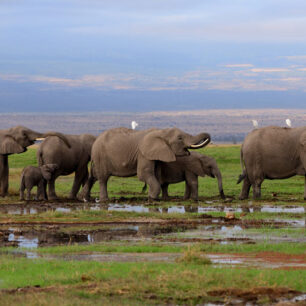 Amboseli National Park