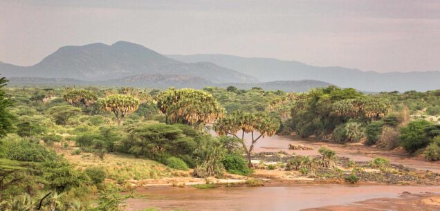 Samburu National Reserve