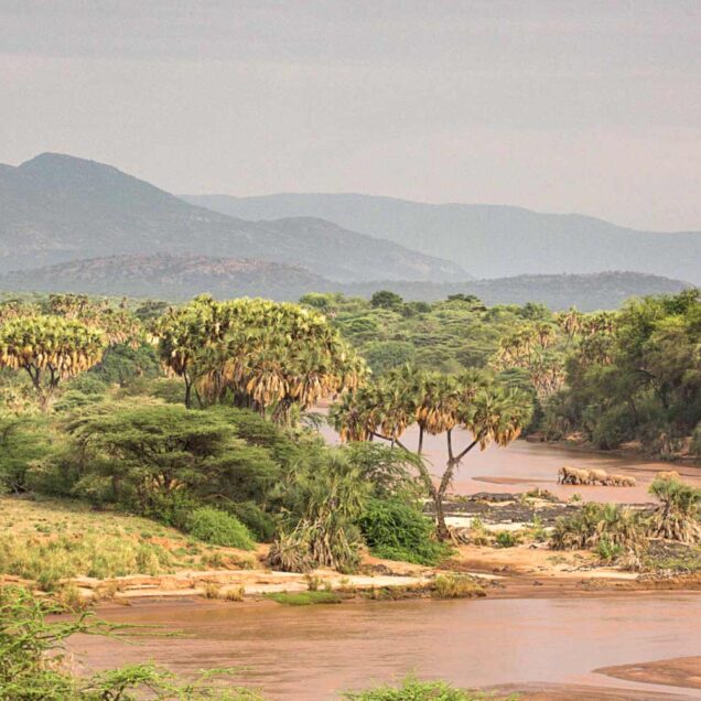 Samburu National Reserve