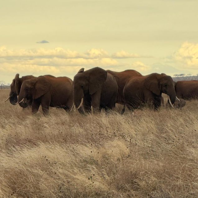 WhatsApp Image 2025-08-04 at 06.26.36